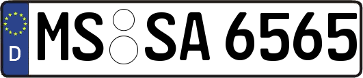 MS-SA6565