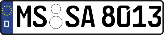 MS-SA8013
