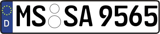 MS-SA9565