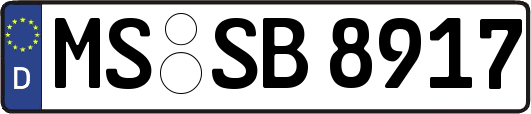 MS-SB8917