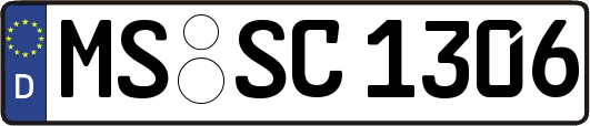 MS-SC1306
