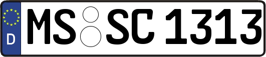 MS-SC1313