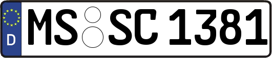 MS-SC1381