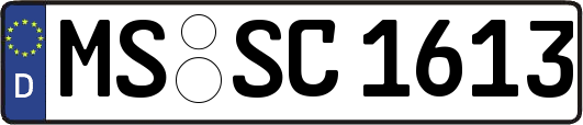 MS-SC1613