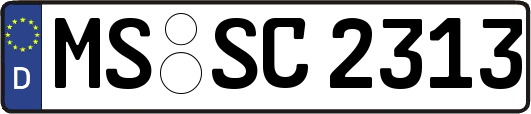 MS-SC2313