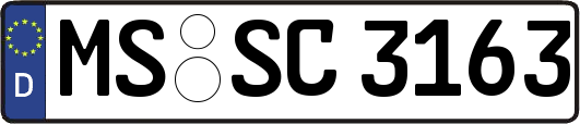 MS-SC3163