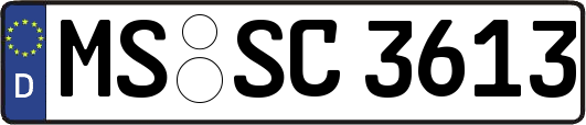 MS-SC3613