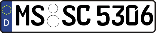 MS-SC5306