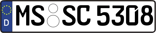 MS-SC5308