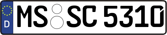 MS-SC5310