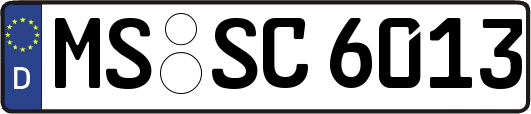 MS-SC6013