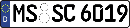 MS-SC6019
