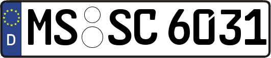MS-SC6031