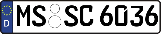 MS-SC6036