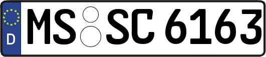 MS-SC6163