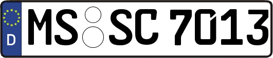 MS-SC7013
