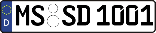 MS-SD1001