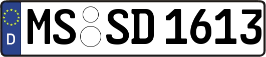 MS-SD1613