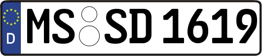 MS-SD1619