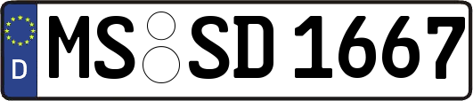 MS-SD1667