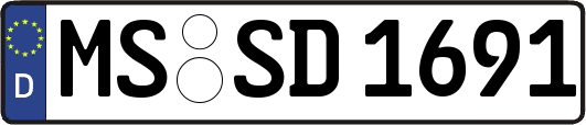 MS-SD1691