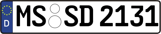 MS-SD2131