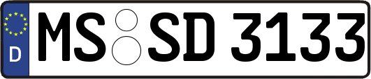 MS-SD3133