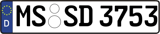 MS-SD3753