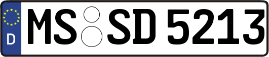 MS-SD5213