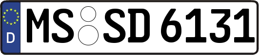 MS-SD6131