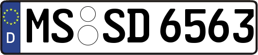 MS-SD6563
