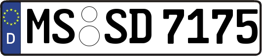 MS-SD7175