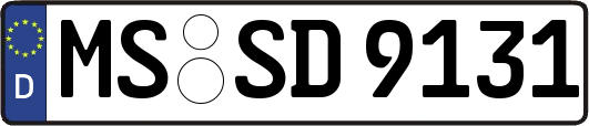 MS-SD9131