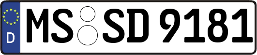 MS-SD9181