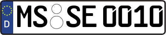MS-SE0010