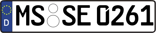 MS-SE0261