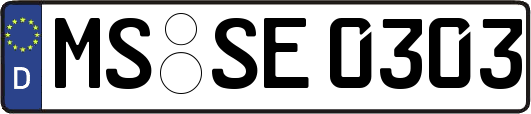 MS-SE0303
