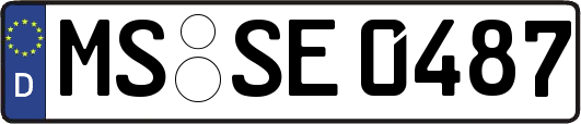 MS-SE0487