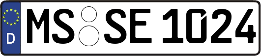 MS-SE1024