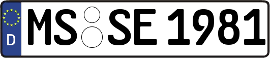 MS-SE1981