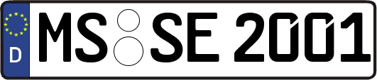 MS-SE2001