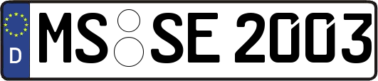 MS-SE2003
