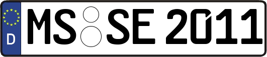 MS-SE2011