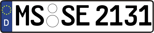 MS-SE2131