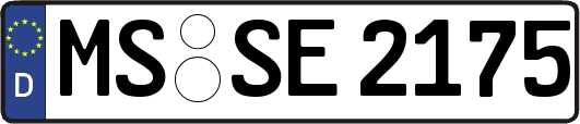 MS-SE2175
