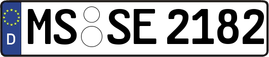 MS-SE2182