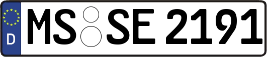 MS-SE2191