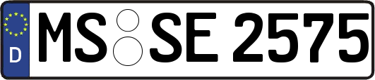 MS-SE2575