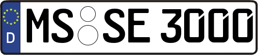 MS-SE3000