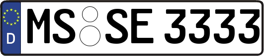 MS-SE3333